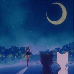 八戒宝藏库入口
