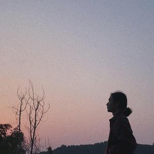 八戒宝藏库入口
