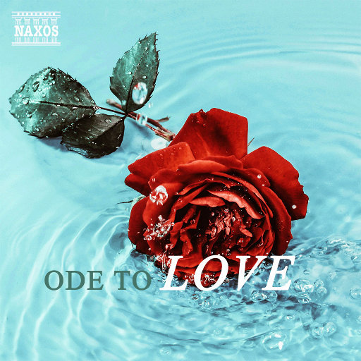 八戒宝藏库入口
