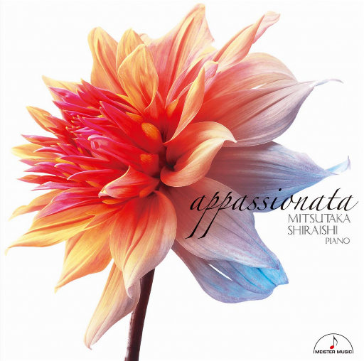 八戒宝藏库入口
